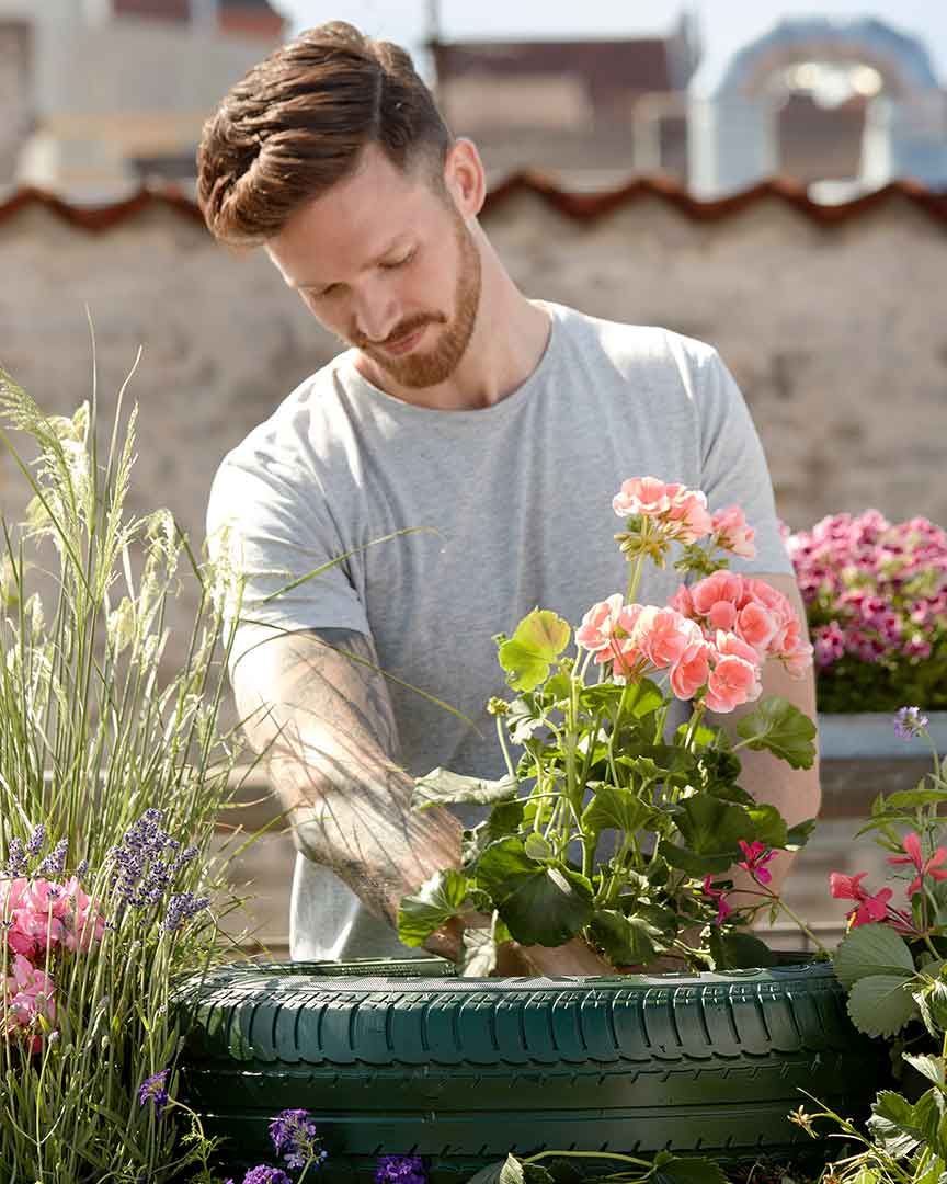 Zwei Gärtner bepflanzen gemeinsam ein Blumenbeet
