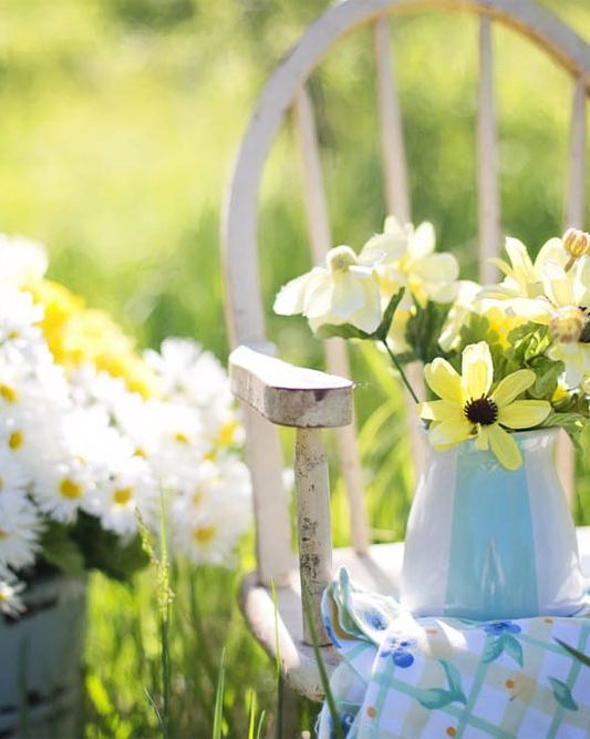 Weiße Schnittblumen, frisch arrangiert