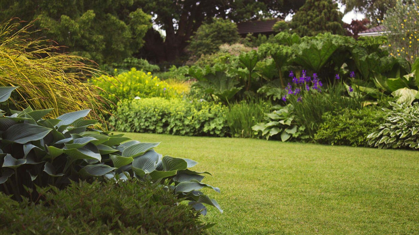 Üppig bepflanzter Garten mit Staudenbeeten und Rasen – Zustand nach der Gartengestaltung